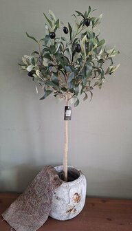 Roberts olijfboom 85 cm kunstolijfboom.