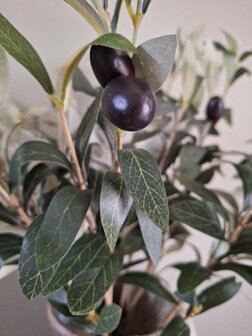 Roberts olijfboom 85 cm kunstolijfboom.