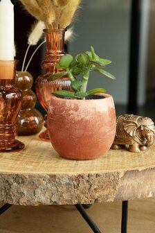 Aromabowl Musk - Antraciet